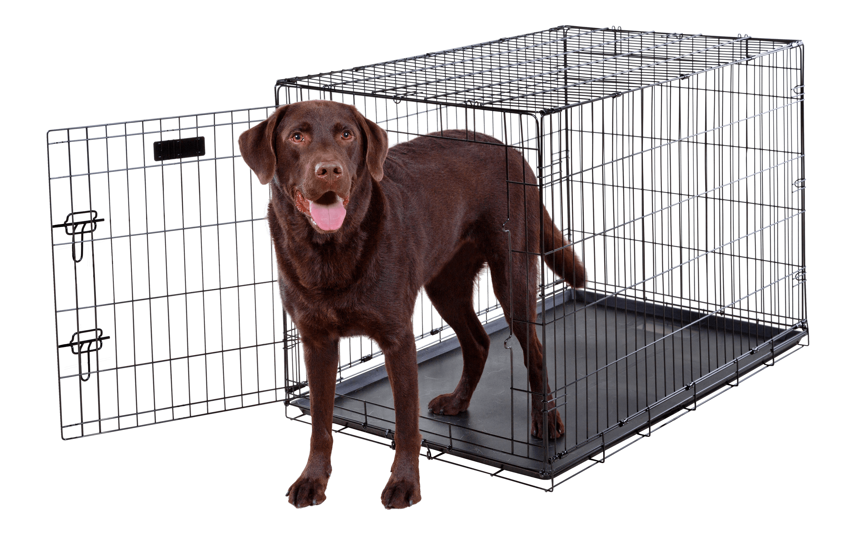 Dog Crate