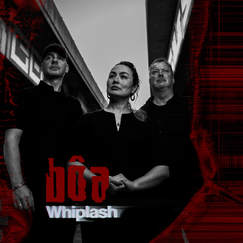 Boa/Whiplash@Amped Exclusive