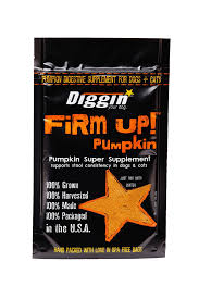Diggin Your Dog Firm Up Pumpkin