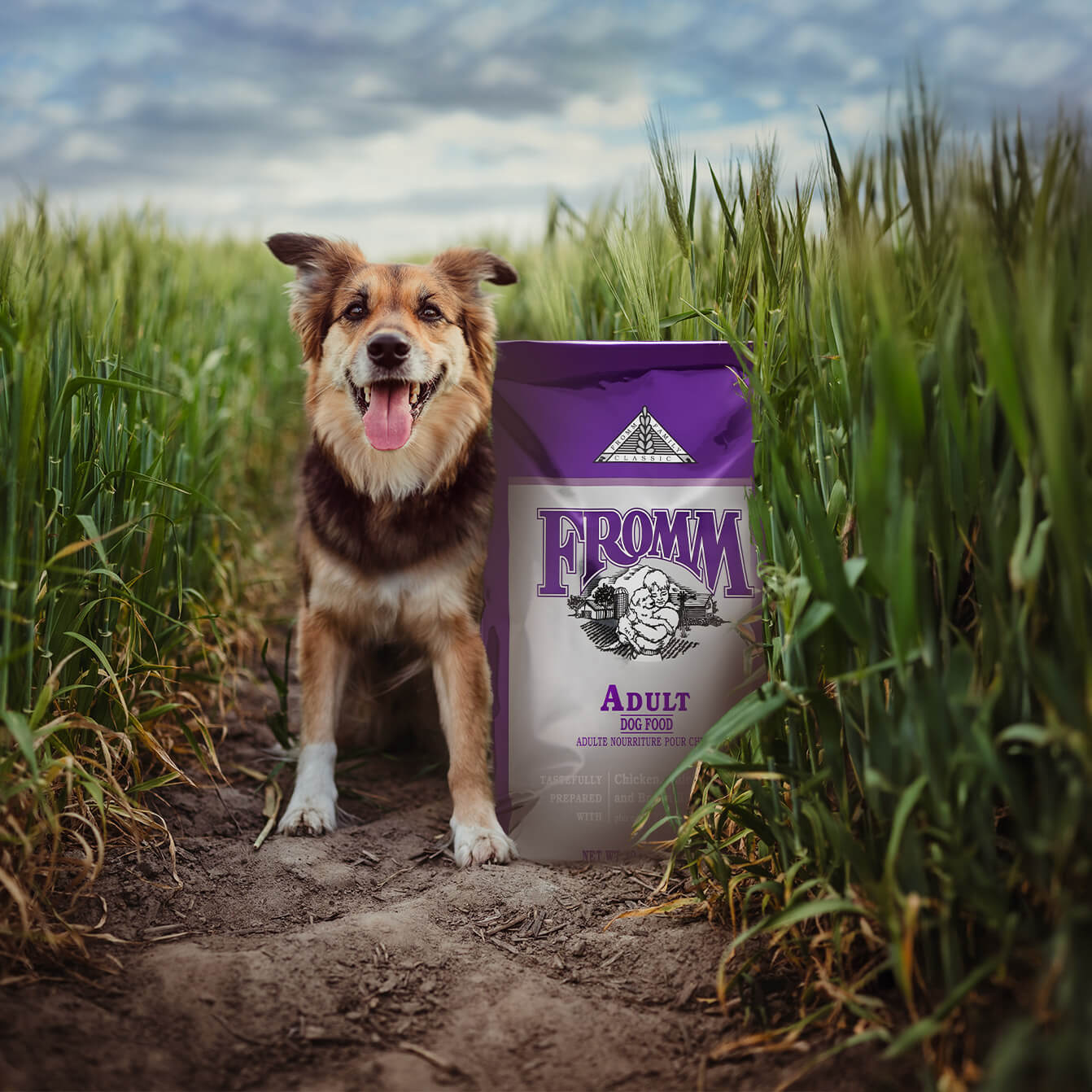 Fromm - Dry Dog Food