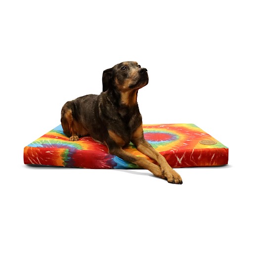 Orthopedic Dog Bed