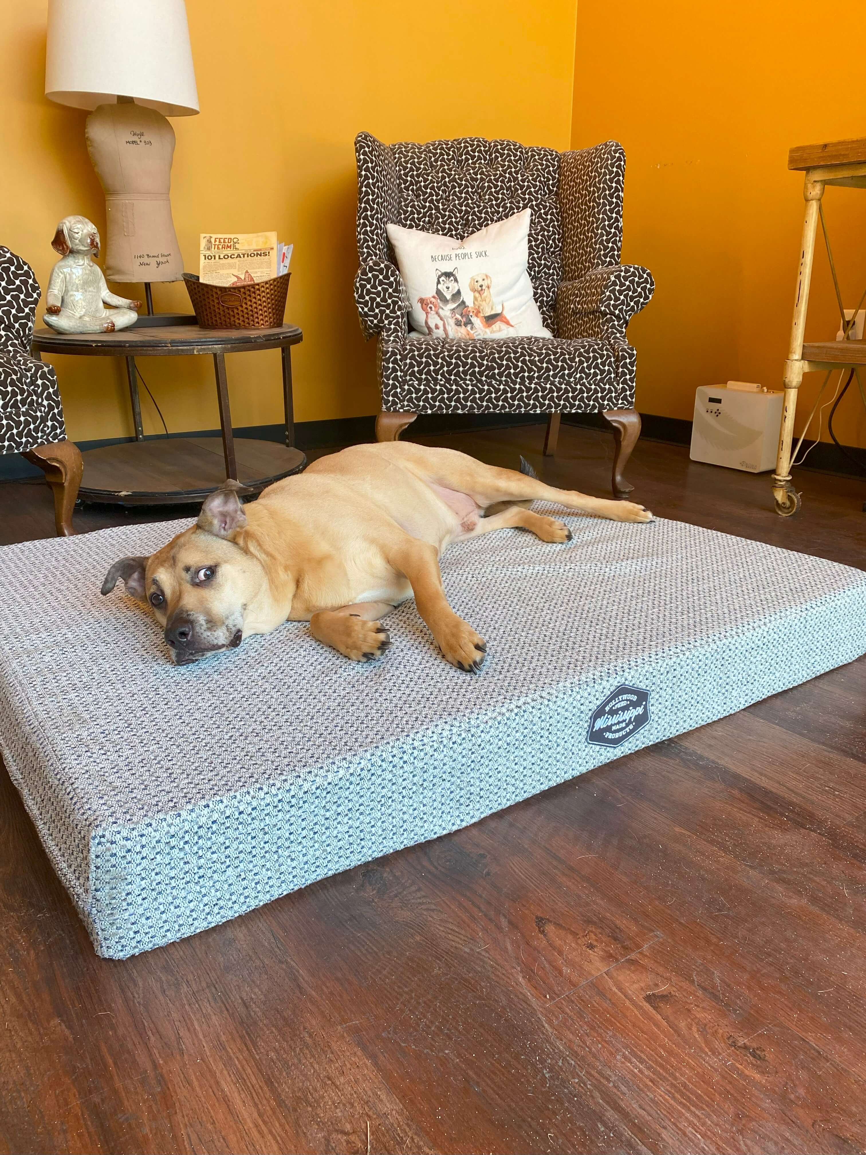 Orthopedic Dog Bed