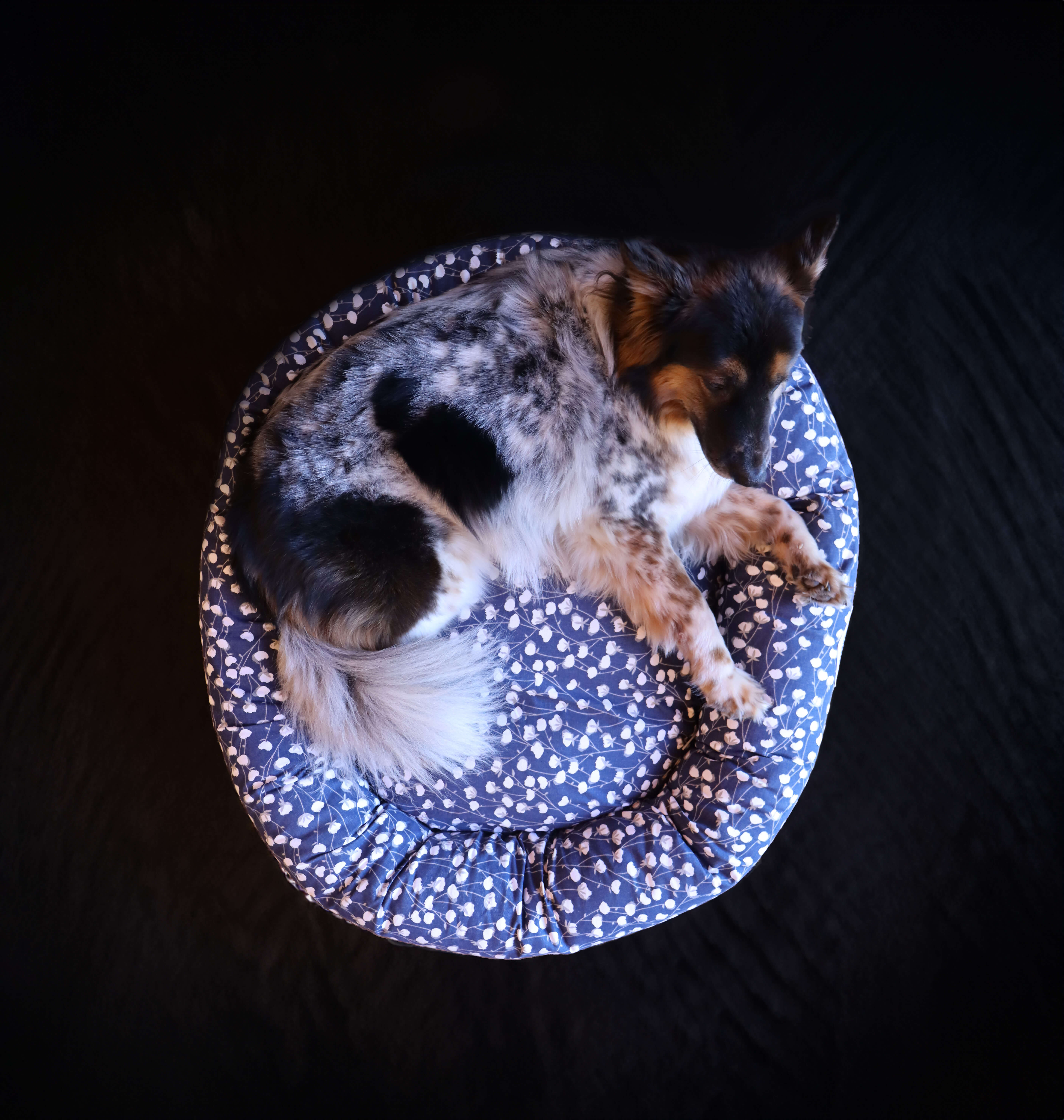 Donut Dog Bed