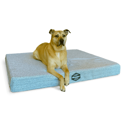 Orthopedic Dog Bed