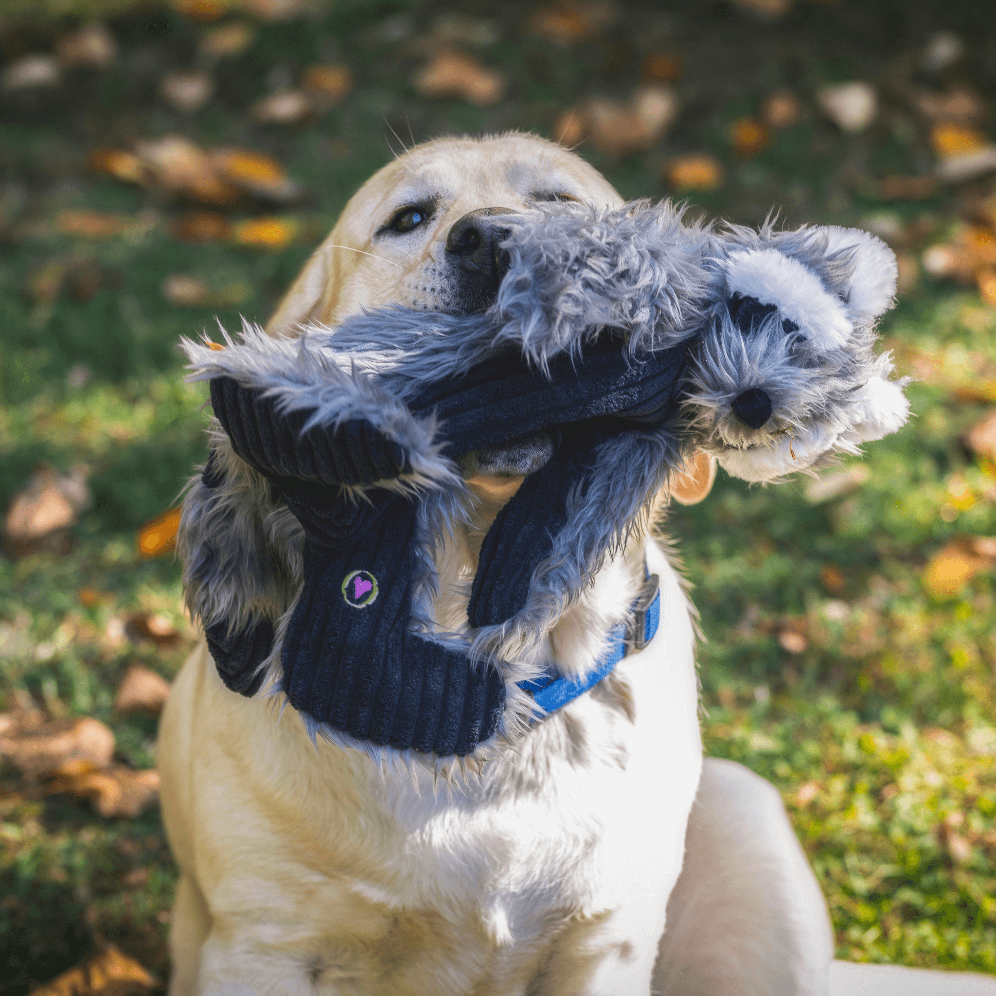 HuggleHounds - Dog Toy - Rope X-Brace