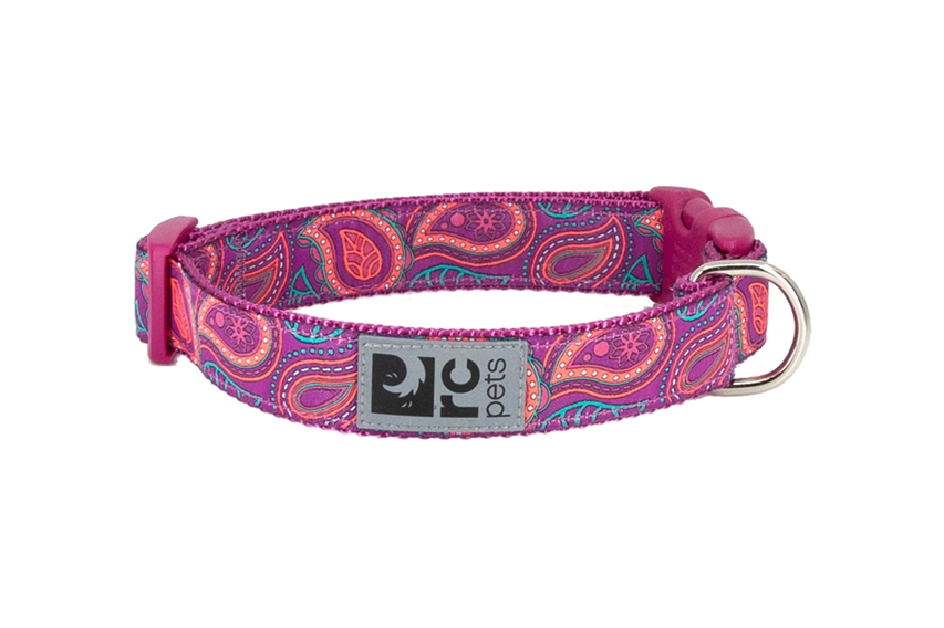 RC Pets-Clip Collar for Dogs in Bright Paisley Pattern