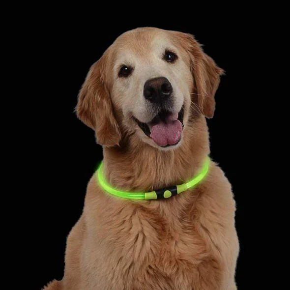 Nite Ize-Nitehowl LED Safety Necklace for Dogs