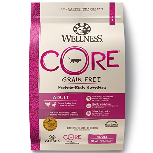 Wellness-CORE Grain Free Natural Turkey, Turkey Meal, and Duck Dry Cat Food