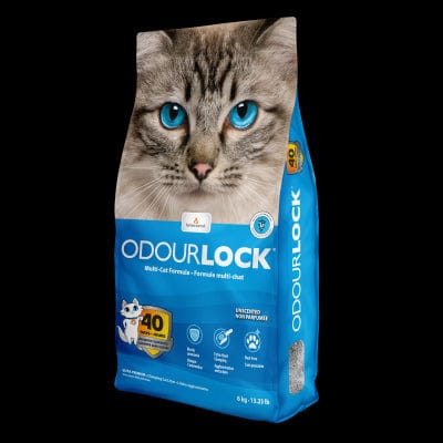 Intersand-Litter Odor Lock Cat Litter