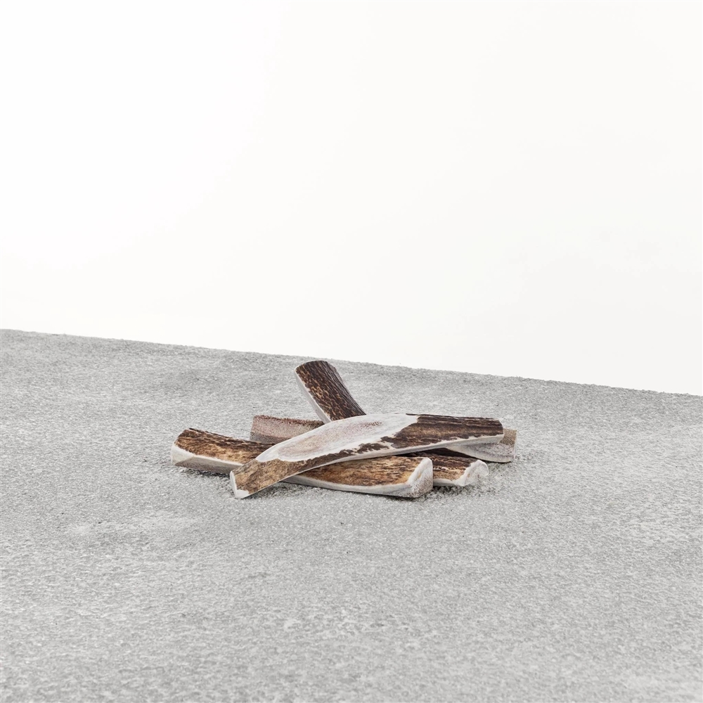 Primal-Stag Split Antler