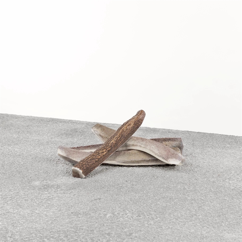Primal-Stag Split Antler