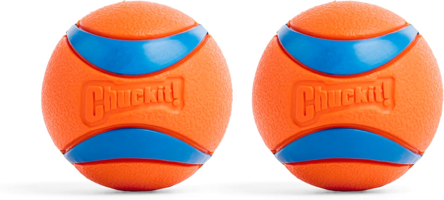 Chuckit-Ultra Ball Dog Toy