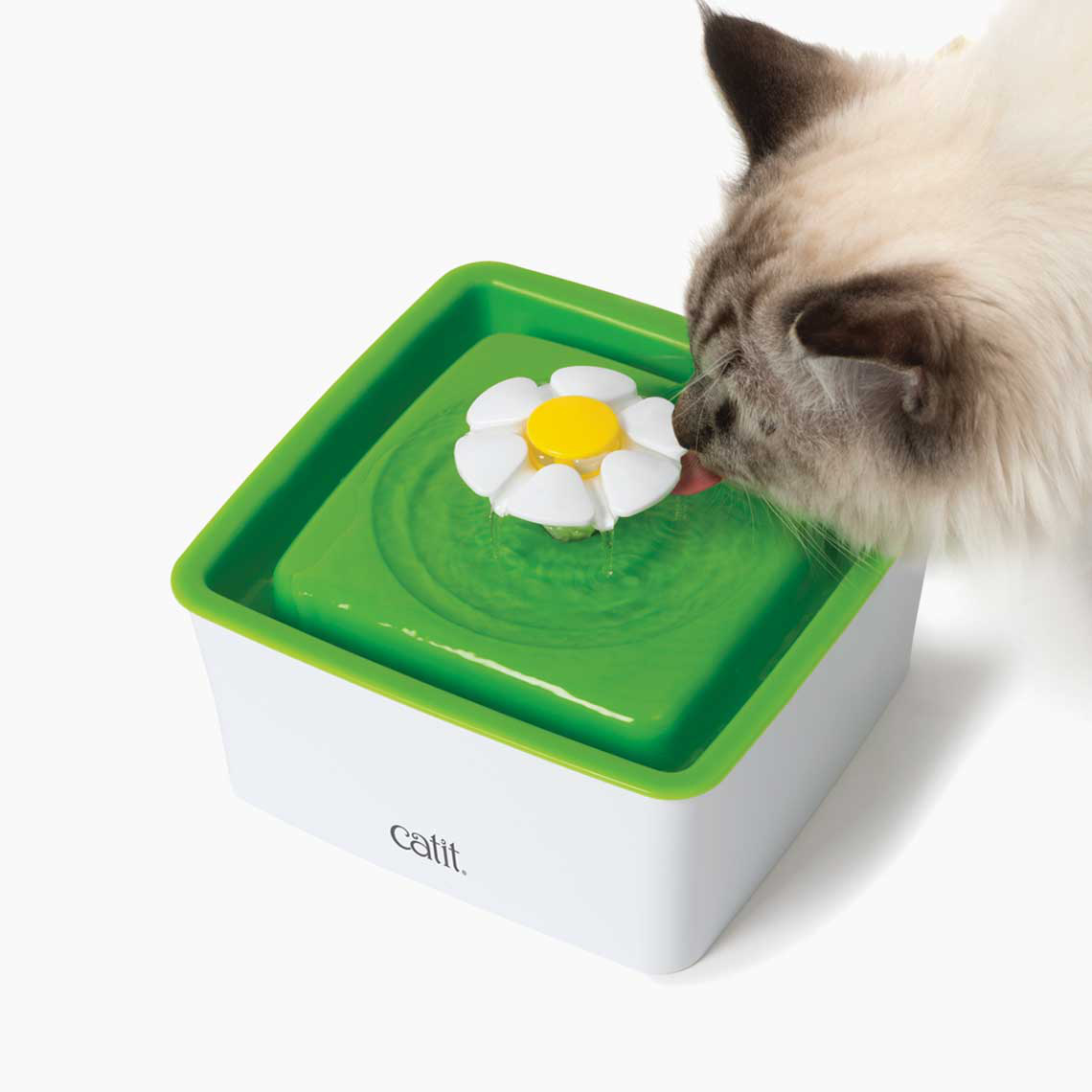 Catit-Mini Flower Drinking Fountain for Cats