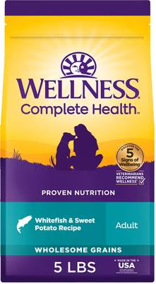 Wellness-Complete Health Natural Adult Whitefish and Sweet Potato Recipe Dry Dog Food