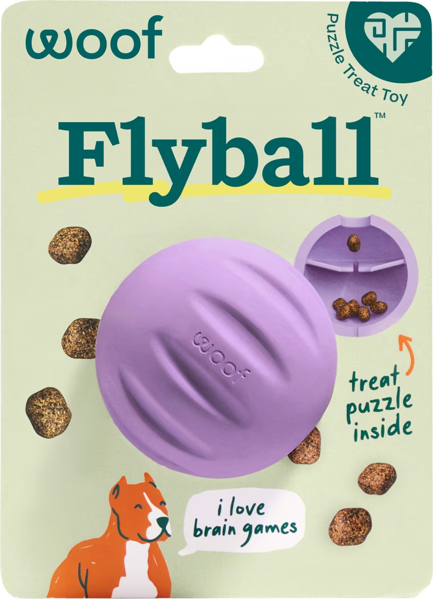 Woof-Flyball Fetch Ball & Puzzle Dog Toy