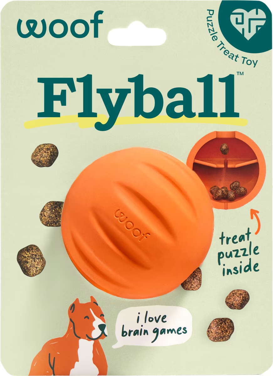 Woof-Flyball Fetch Ball & Puzzle Dog Toy