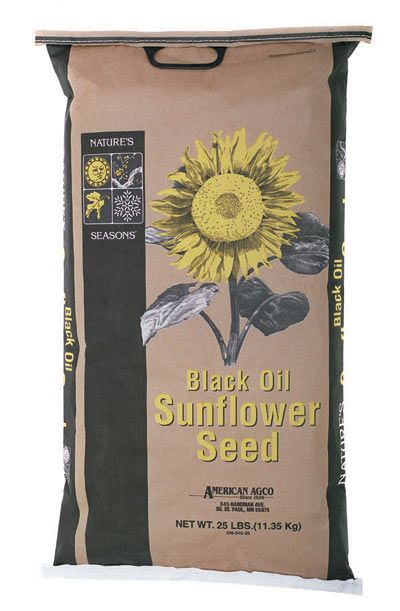 Nature's Seasons-Black Oil Sunflower Seeds