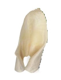 Barkworthies-Cow Ears Dog Chews