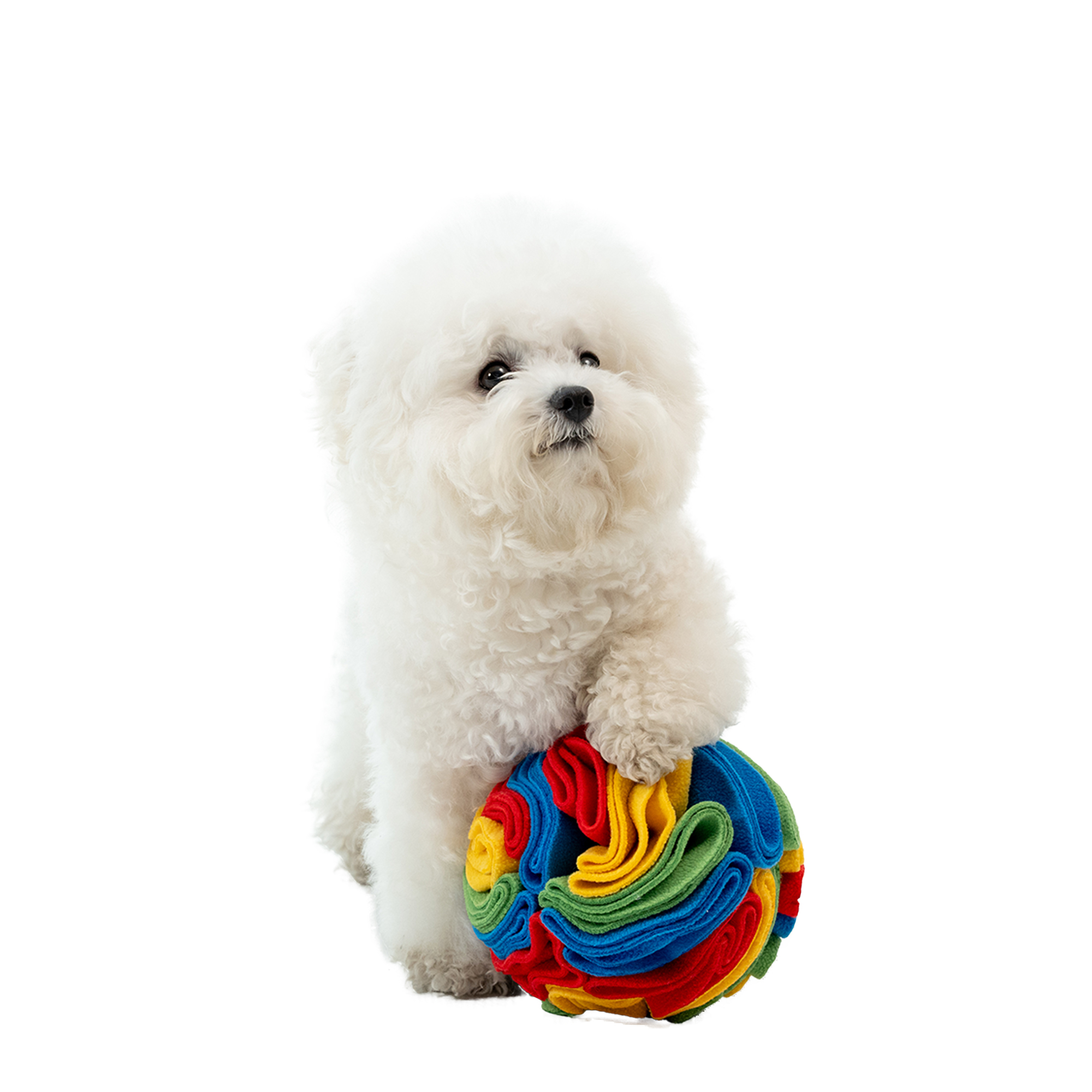 Territory-Foraging Ball Holiday Dog Toy