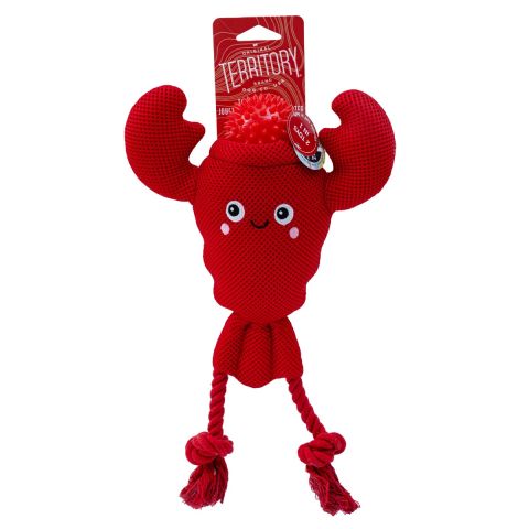Territory-Floating Lobster 2-in-1 Toy for Dogs