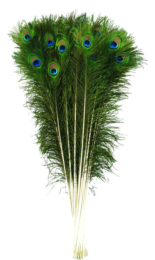 ThoozyPet-Peacock Feather Cat Toy