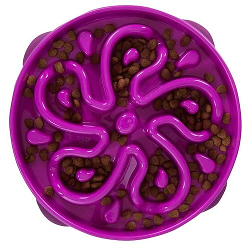 Outward Hound-Fun Feeder Slo-Bowl Feeder for Dogs in Purple