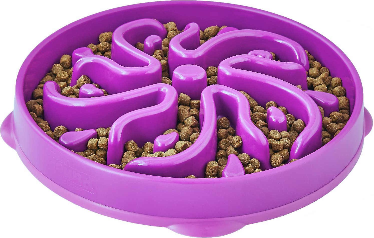 Outward Hound-Fun Feeder Slo-Bowl Feeder for Dogs in Purple