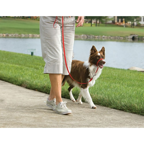 PetSafe-Gentle Leader Quick Release Red Headcollar for Dogs