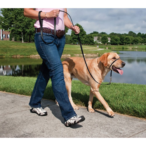 PetSafe-Gentle Leader Quick Release Black Headcollar for Dogs