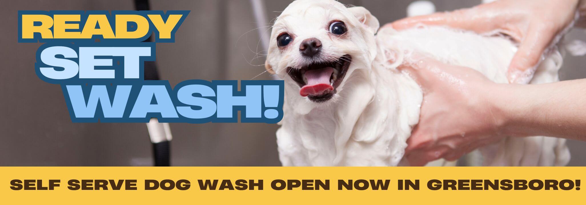 Ready, Set, Wash! Self Serve Dog Wash Open NOW in Greensboro!