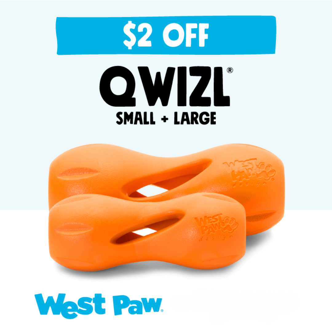 Save $2.00 on Qwizl in all sizes (small and large).