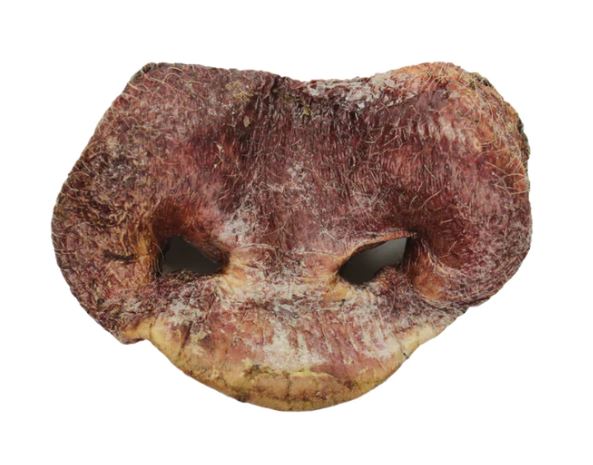 Vital Essentials Freeze-Dried Pig Snout