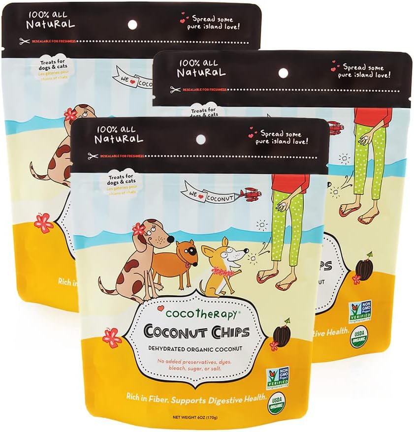 Coco Therapy GF Coconut Chips 6 oz Pouch