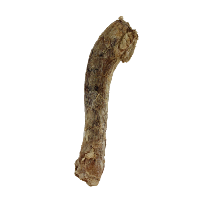 Freeze-Dried Duck Neck (individual)-Vital Essentials-
