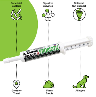 Dogzymes Canine Probiotic Paste 15 cc