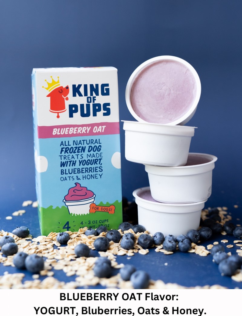 King Of Pups Frozen Treat 3oz Single-Blueberry & Oats