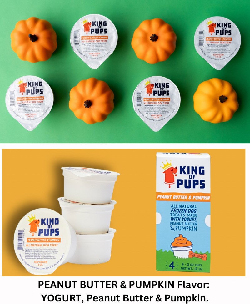 King Of Pups Frozen Treat 3oz Single-Pumpkin & Peanut Butter