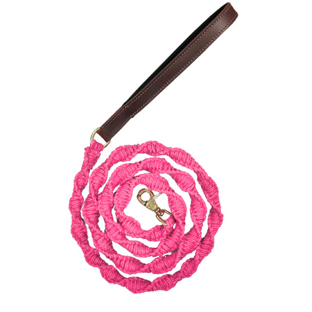 BAYDOG Dog Leash Seaside Pink Lily 6'-Baydog