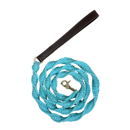 BAYDOG Dog Leash Seaside Sea Foam 6'-Baydog