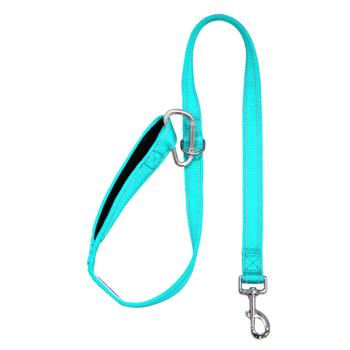 BAYDOG Dog Leash Hudson Sea Foam 6'-Baydog