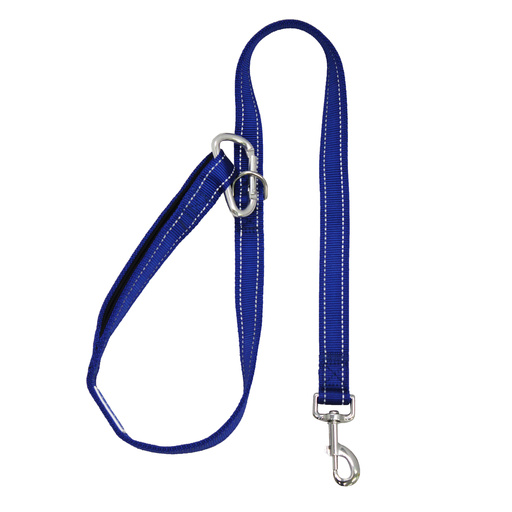 BAYDOG Dog Leash Hudson Blue 4'