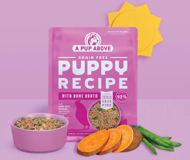 A Pup Above Gently Cooked-Chicken for Puppies