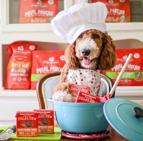 Stella & Chewy's Grass-Fed Beef Stew with pup