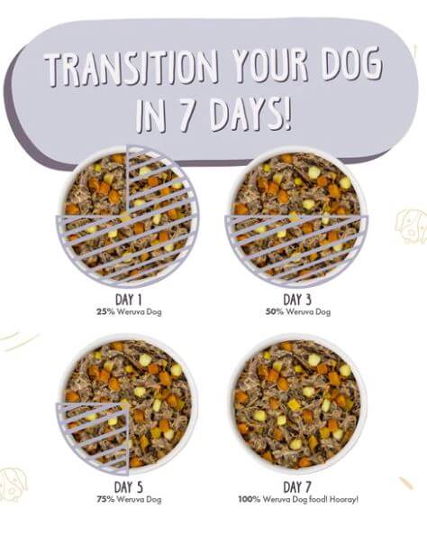 The Weruva Steak Frites Dog Food slow transition chart showing how much to introduce over the course of a week