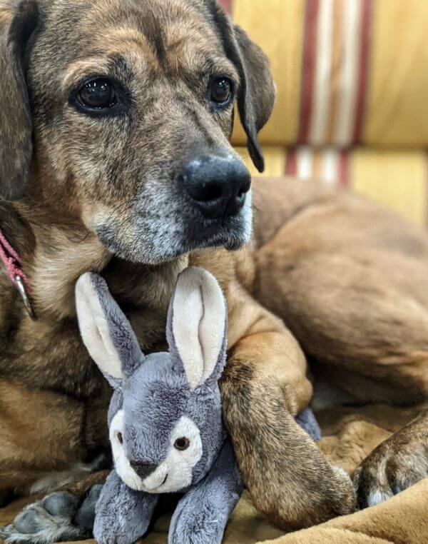 Jessica Bunny with pup.