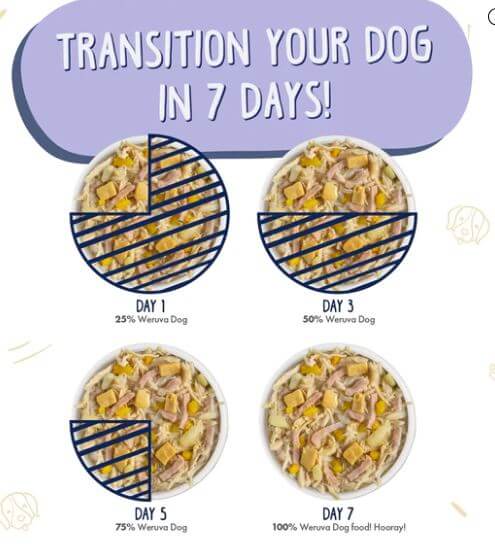 Weruva Bed & Breakfast Recipe with slow transition feeding chart instructions for 7 days