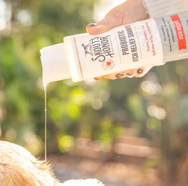 Skout's Honor Itch Relief Shampoo in the middle of use to show product in aesthetic manner