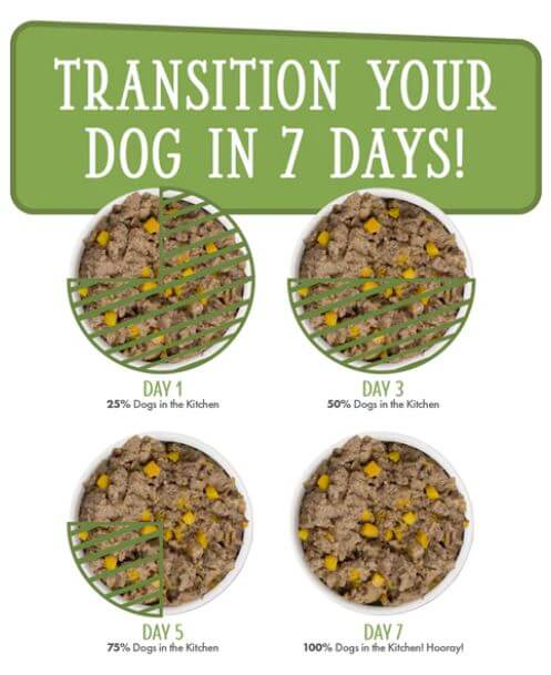 Weruva Lamburgini chart for slow transitional feeding