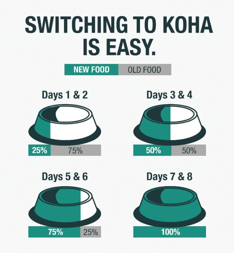 Koha Poke Bowl slow feed chart for transition to wet food 