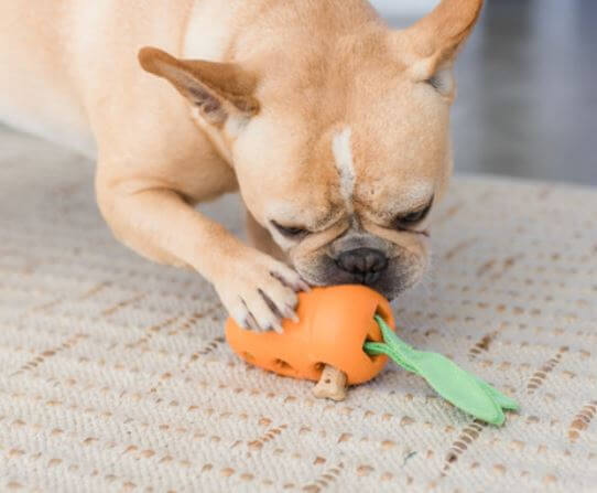 Petstages Carrot Stuffer Dog Toy informational chart - slide 4